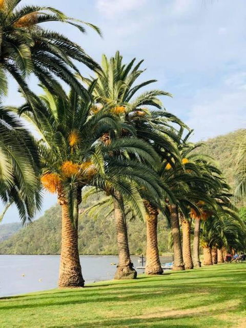 Riva On The Hawkesbury - Accommodation Bookings 0