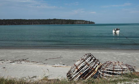 Rock Lobster - Accommodation Bookings 2