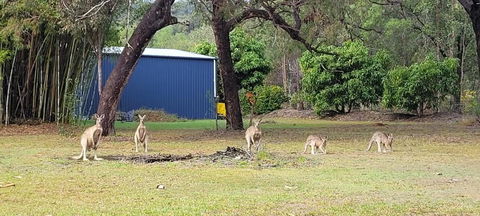Roo Or 2 On Streeter - Accommodation Bookings 0