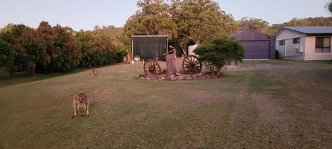 Roo Or 2 On Streeter - Accommodation Bookings 1