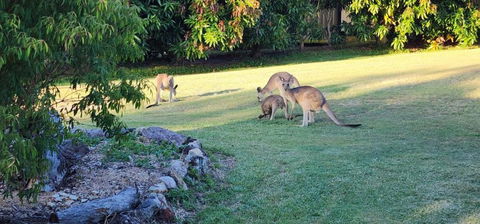 Roo Or 2 On Streeter - Accommodation Bookings 3