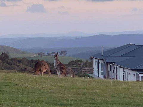 Rooks Edge - Accommodation Bookings 0