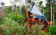 Rose Gums Wilderness Retreat - thumb 3