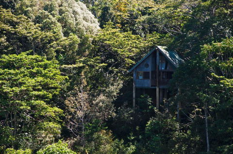 Rose Gums Wilderness Retreat - Accommodation Bookings 1