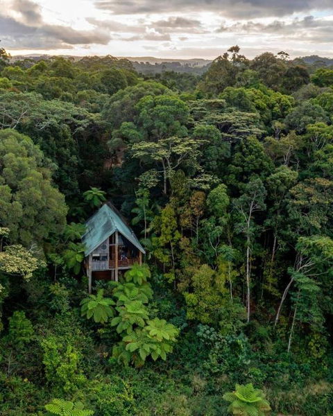 Rose Gums Wilderness Retreat - Accommodation Bookings 0