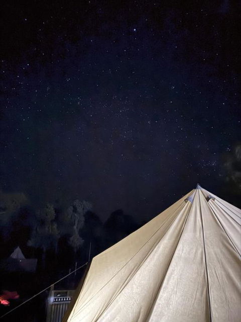 Roseneath Holiday Park - Accommodation Bookings 1