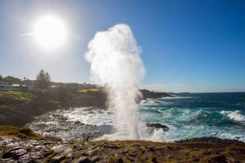 SALTY SOUL KIAMA - Tiny House By The Ocean - Accommodation Bookings 3