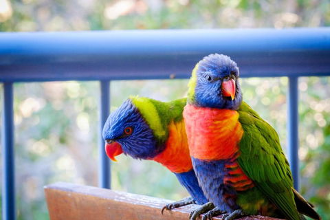 Sanctuary Lake Apartments - Accommodation Bookings 1
