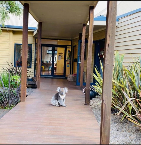 Sandpiper Motel Apollo Bay - Accommodation Bookings 3