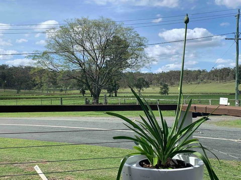 Scenic Rim Country Escape - Accommodation Bookings 3