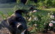 Sunshine Coast Farm Stay - thumb 1