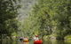 Sunvale Stunning Luxury Lodge With Woodfire Heated Spa And Large Deck - thumb 3