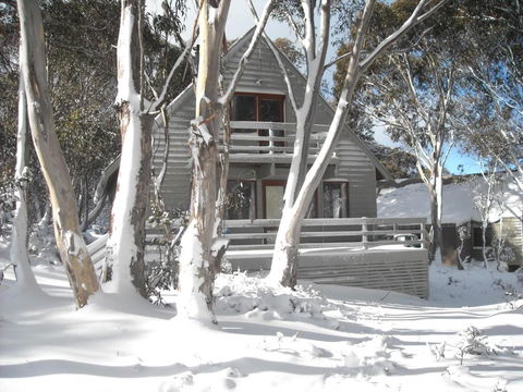 Tabletop Down - Accommodation Bookings 2