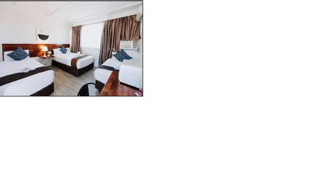 Tamworth City Motel - Accommodation Bookings 2