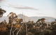 Tarrawarra Retreat - thumb 3