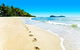 Temple 121 Modern Spacious Palm Cove 2 Brm 2 Bth Resort Apartment With Courtyard - thumb 1