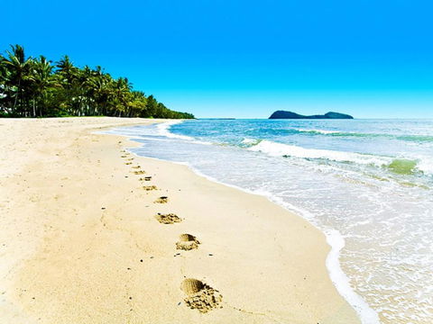 Temple 121 Modern Spacious Palm Cove 2 Brm 2 Bth Resort Apartment With Courtyard - Accommodation Bookings 1