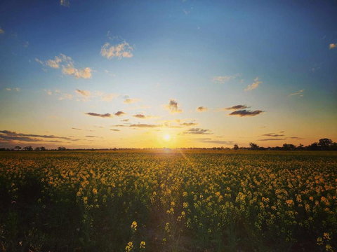 The Court House Hotel Narromine - Accommodation Bookings 3