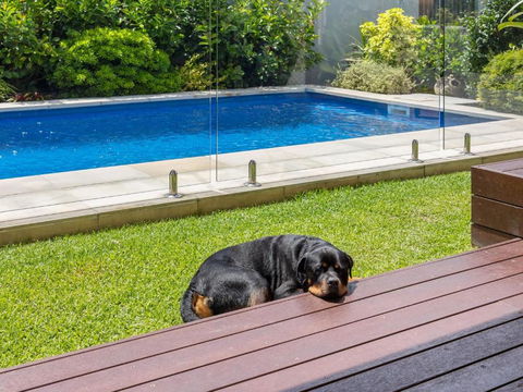 The Doggy Beach House At Pottsville - Accommodation Bookings 2