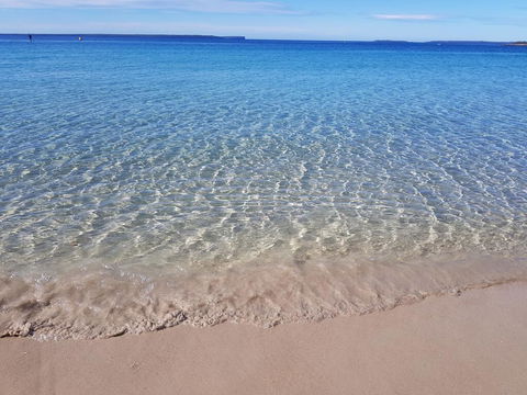 Beachside Husky Waterfront Cabin - Accommodation Bookings 0