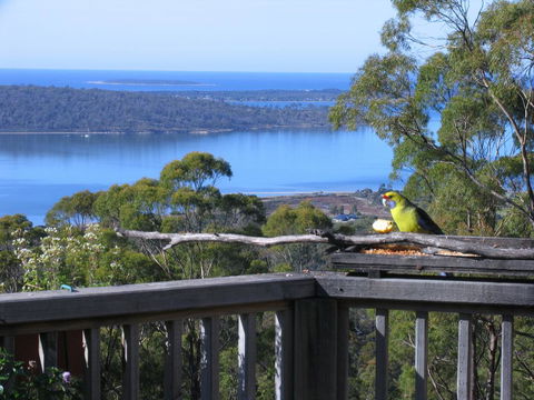 Bed In The Treetops B&B - Accommodation Bookings 0