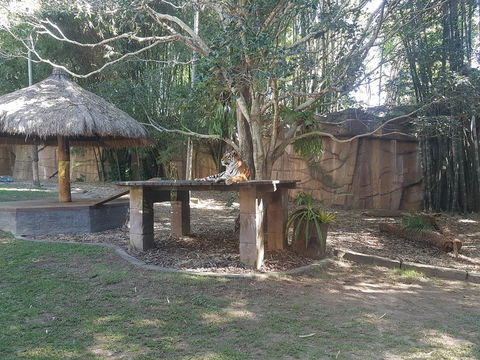 Beerwah House - Accommodation Bookings 3