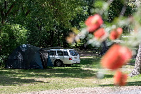 Belair National Park Holiday Park - Accommodation Bookings 0