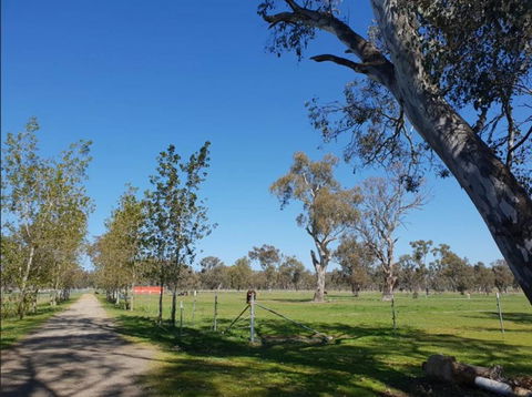 Big Tiny Jindera Park - Accommodation Bookings 3