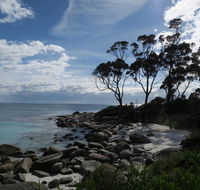 Binalong Bay Beach Shack - Accommodation Bookings