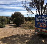 Black Jack Get-A-Way Magpies Nest
