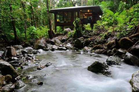 Black Palm Cape Tribulation - Accommodation Bookings 2