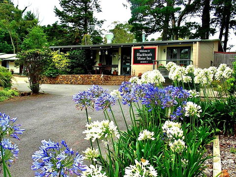 Blackheath Motor Inn - Accommodation Bookings 0