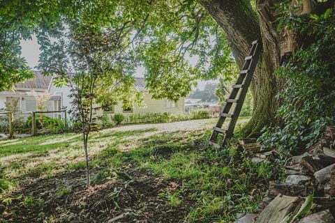 Blacksmiths Cottage - Accommodation Bookings 1