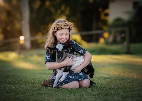 Blackwattle Farm - Accommodation Bookings 1