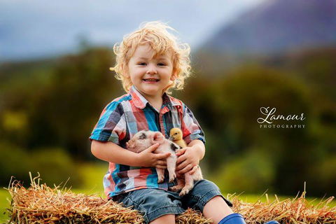 Blackwattle Farm - Accommodation Bookings 0