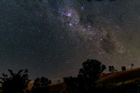 Blickinstal Barossa Valley Retreat - Accommodation Bookings 1