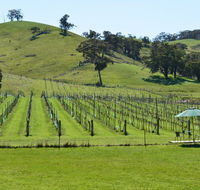 Blue House at Mountainside Wines