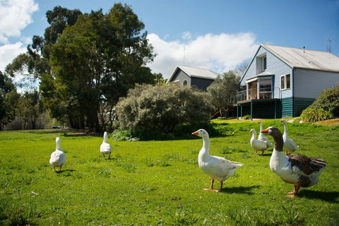Boatshed Villa Green Door - Accommodation Bookings 3