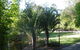 BoBRENE On Tamborine Nude Retreat - Quaint Cottage - thumb 2