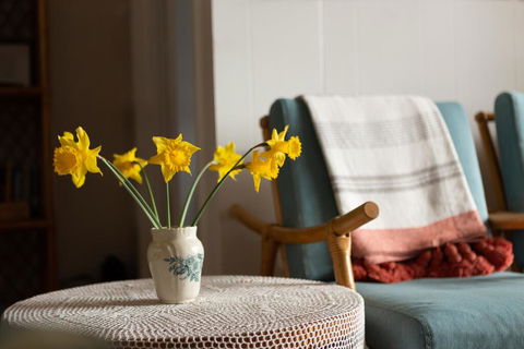 Boho Cottage - Accommodation Bookings 1