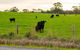 The Old Farm Cottage, Mount Torrens - thumb 2