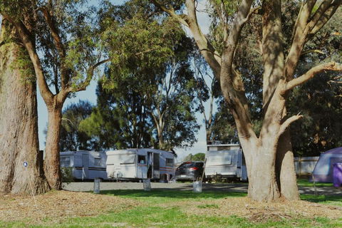 Woodmans Hill Motel - Accommodation Bookings 2