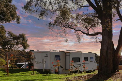 Woodmans Hill Motel - Accommodation Bookings 3