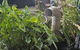 Almost Off Grid Tranquillity - thumb 4