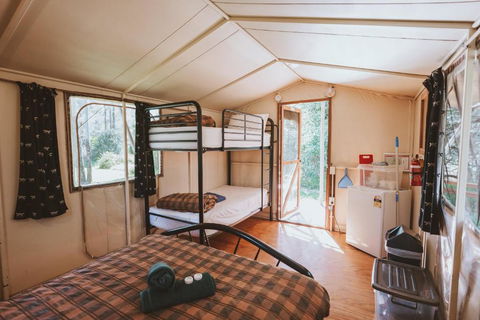 BIG4 Breeze Holiday Parks - Carnarvon Gorge - Accommodation Bookings 1