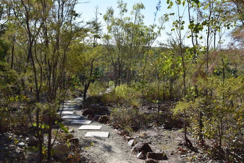 Cicada Lodge - Accommodation Bookings 4