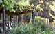 Yarradene Luxury Healesville Farmstay - thumb 1