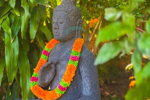 Zenhouse: 6-BR Balinese Tropical Oasis In Nightcliff Central - Accommodation Bookings 3