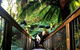 Small-Group Great Ocean Road And Twelve Apostles Full-Day Tour - thumb 1
