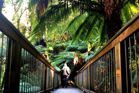 Small-Group Great Ocean Road And Twelve Apostles Full-Day Tour - Accommodation Bookings 1